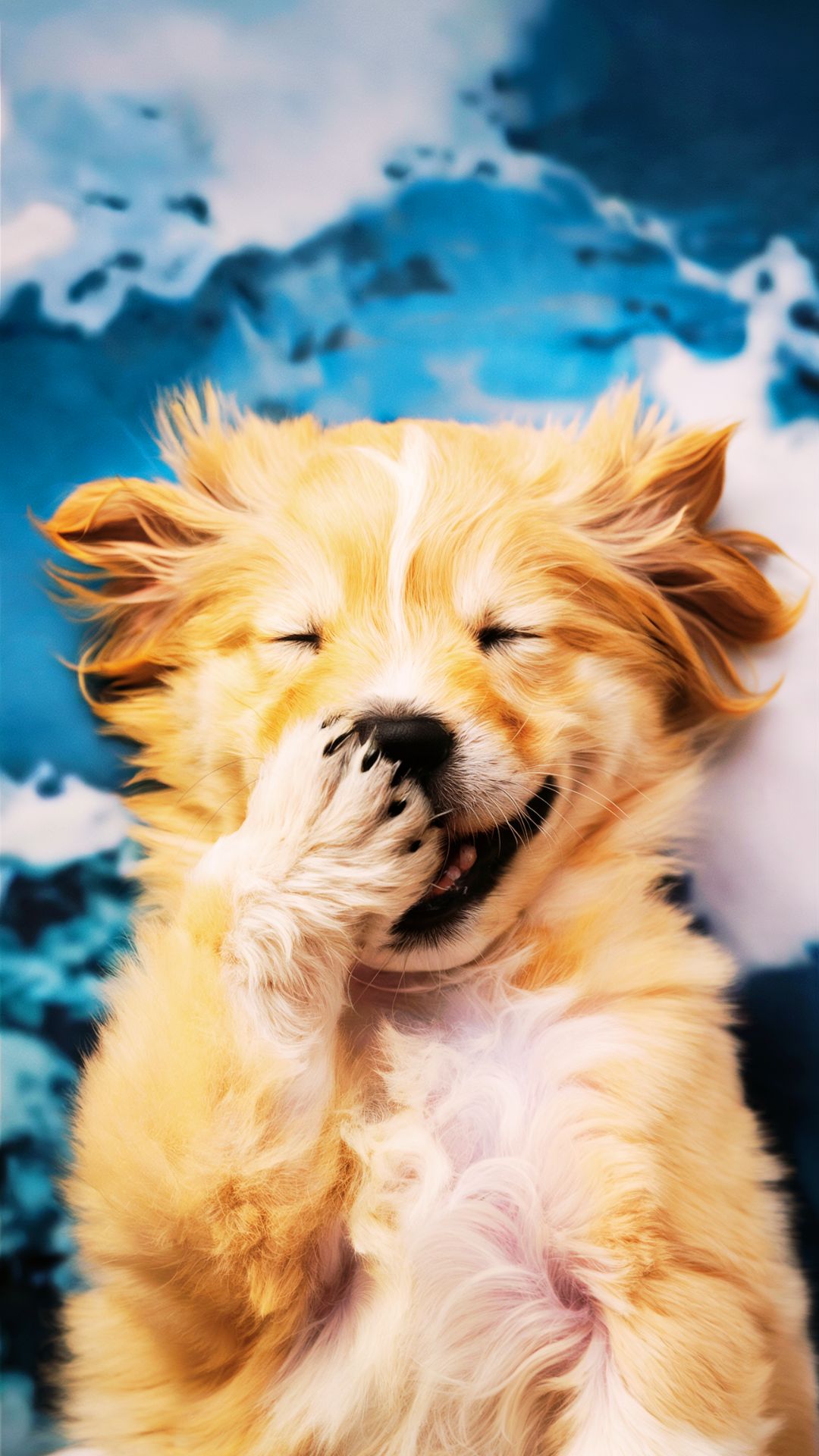 Aesthetic Dog Wallpapers for iPhone and Android 🐶🌸