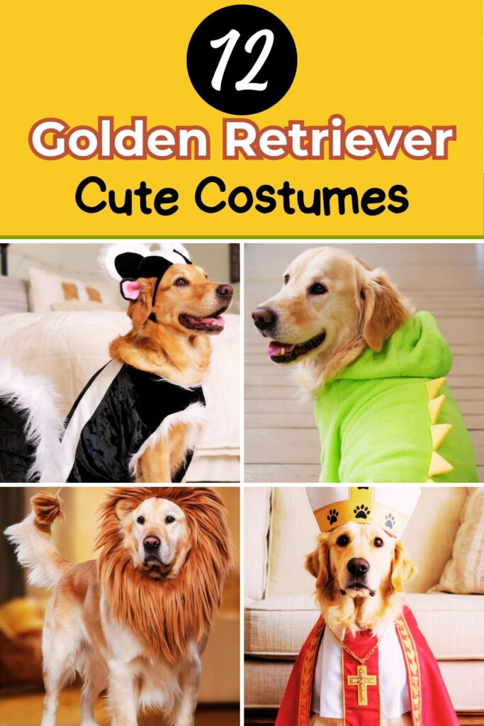 Golden Retriever Costumes For Halloween